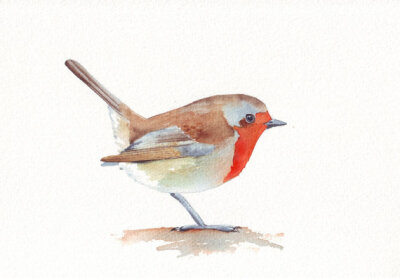 Robin painting ART Bird Print of watercolor painting