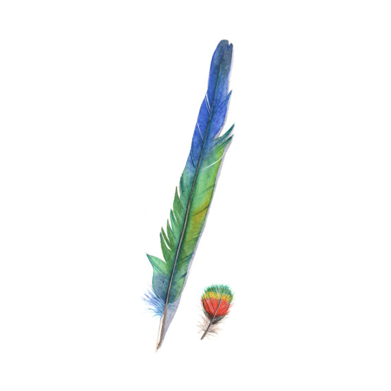 Lorikeet Feather Painting - Print of watercolor painting