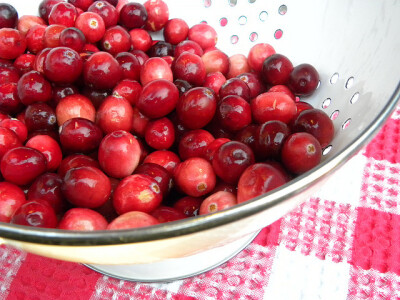 cranberry 蔓越橘,小红莓