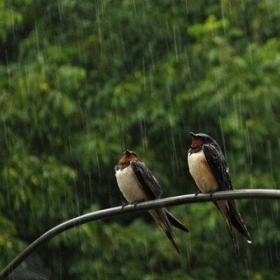 爱你的人，他愿意陪你经历风风雨雨，最后仍然陪在你身边