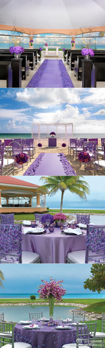 紫色的婚礼