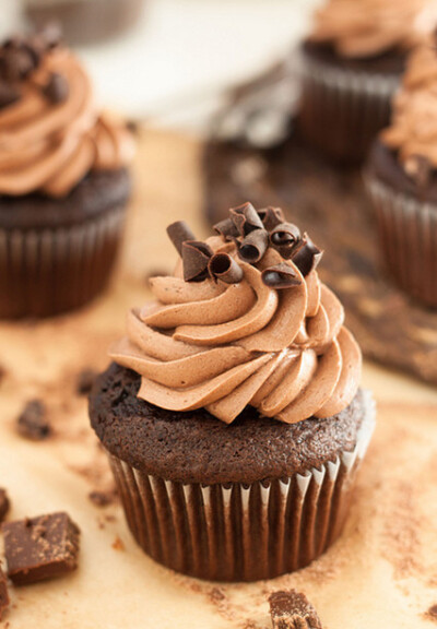 Double Chocolate Cupcakes