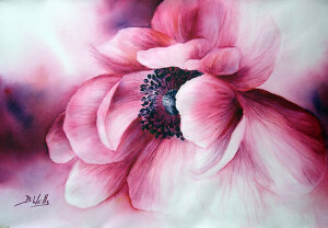 Anemonie by Bev  Wells