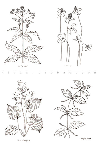 原创钢笔画卡片 花草