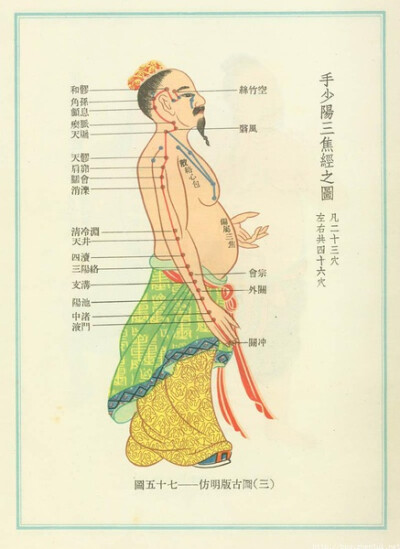 穴位图
