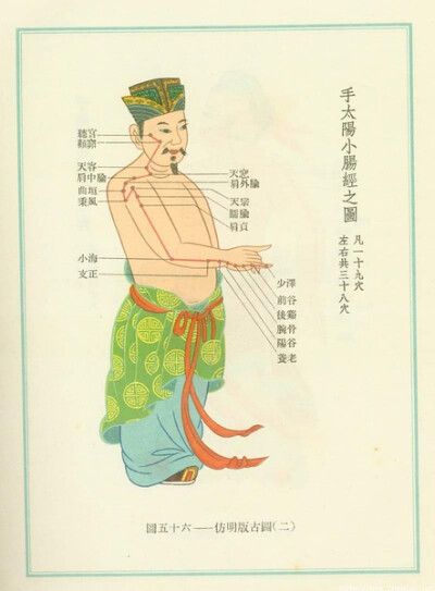 穴位图