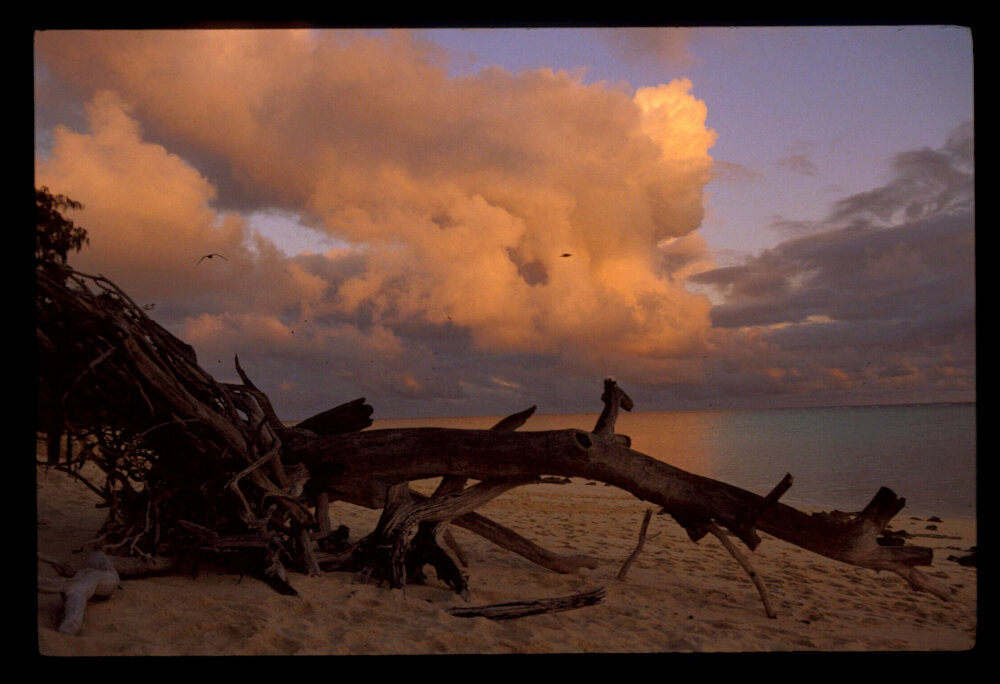 澳大利亚 Great Barrier Reef Heron Island