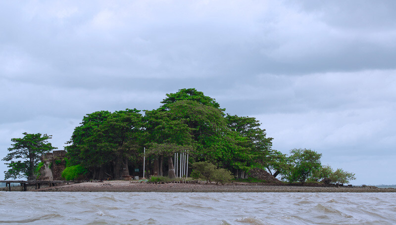 冈比亚 西方 James Island (The Gambia)