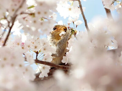 唯美又温馨Photograph by Fumiko Yarita