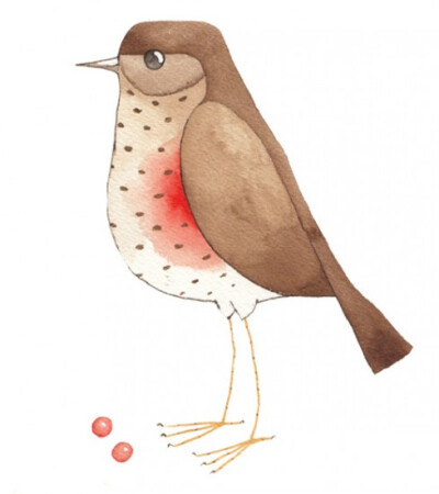 Illustration crush: Matt’s bird of the week. This one’s a redwing.