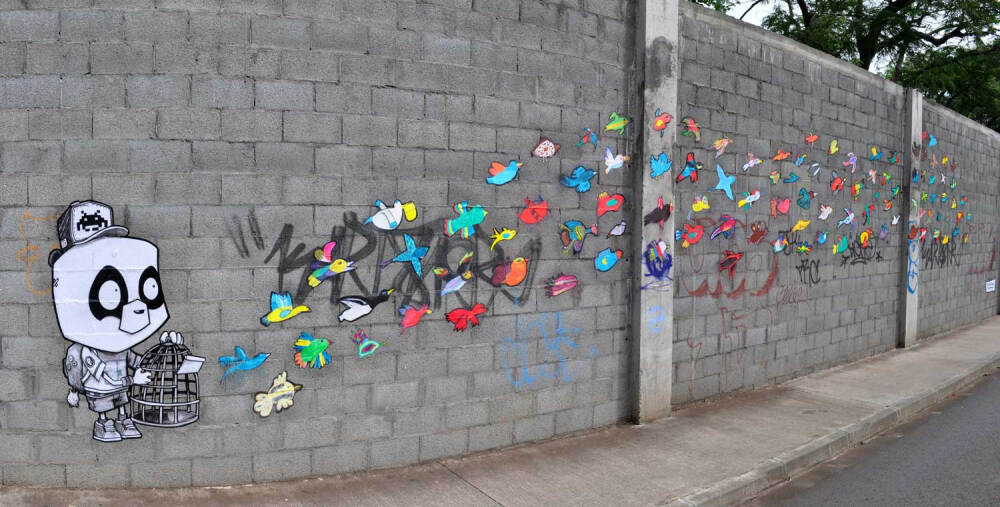 放飞生命不需要理由