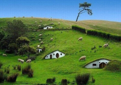 新西兰乡村的房子，你想和谁一起住？