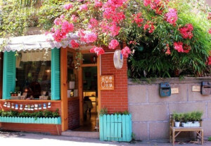 鼓浪屿。花与岁月的小时光。