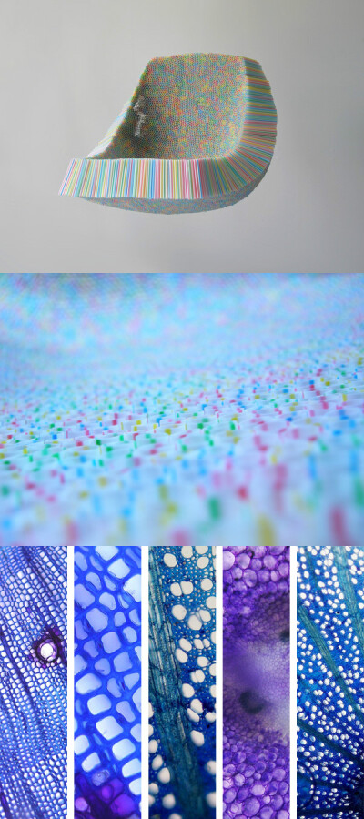 在用显微镜观察过树木的组织结构和毛细血管的构造之后，设计师scott jarvie用10000根吸管制作了一把椅子。 这把名为“抓（Clutch）”的椅子希望引起人们对“一次性”文化的反思。