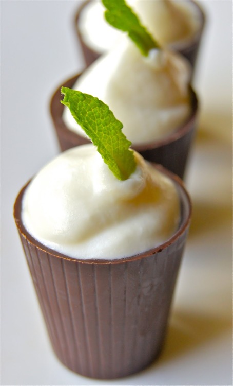 White Chocolate Mint Mousse Shots!