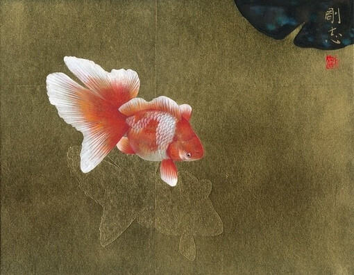 關(guān)于魚的那些插畫、