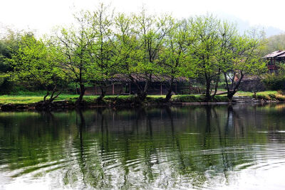 烟雨婺源