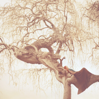 Photograph closer by oprisco on 500px