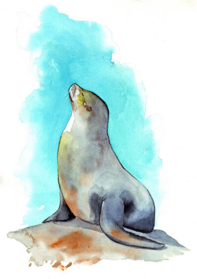 好高雅的海豹~Seal Painting animal print of watercolor painting - ART