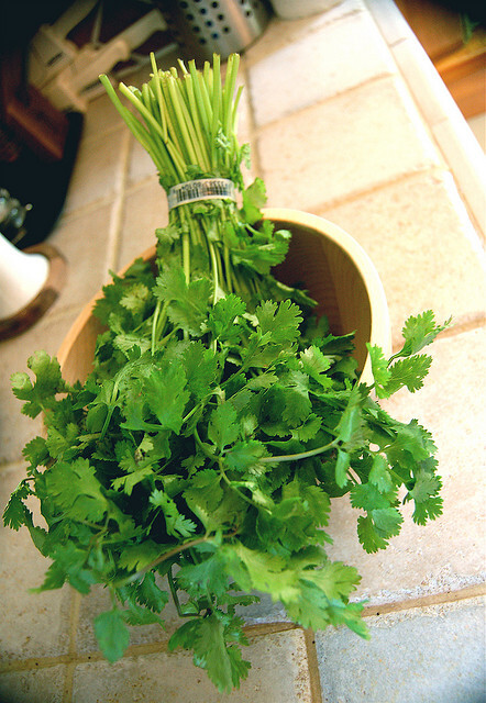 parsley 是 “欧芹”，“香芹”，长的跟香菜挺像的，也是香辛叶类菜。所以香菜又叫 Chinese Parsley coriander，是 “芫荽”，芫荽是香菜的学名。所以这个词，就是指你说的香菜 cilantro，指 香菜叶，不过也可以用来指 香菜 第二个词用来指香菜最正规了，第三个你用来指香菜别人也看的懂。 第一个用的时候，最好加上chinese一起用，老外就知道你指什么了。