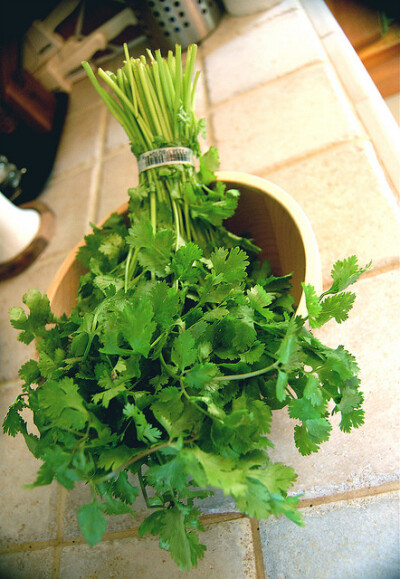 parsley 是 “欧芹”，“香芹”，长的跟香菜挺像的，也是香辛叶类菜。所以香菜又叫 Chinese Parsley coriander，是 “芫荽”，芫荽是香菜的学名。所以这个词，就是指你说的香菜 cilantro，指 香菜叶，不过也可以用来…