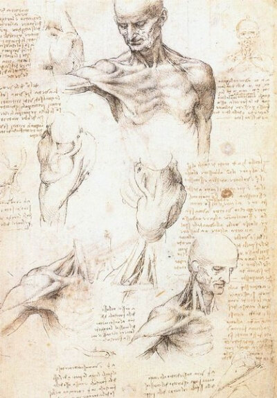 达·芬奇掌握了人体解剖知识，从解剖学入手，研究了人体各部分的构造。他最先采用蜡来表现人脑的内部结构，也是设想用玻璃和陶瓷制作心脏和眼睛的第一人。