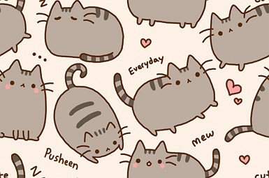 pusheen cat~~~~