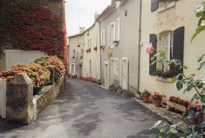  、花、街道、街巷、街