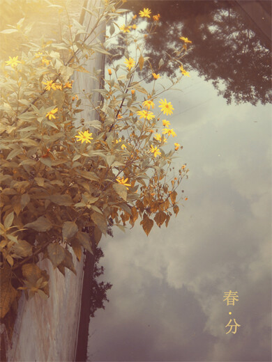 该来的来，该去的去。