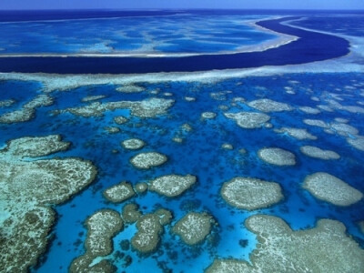 大堡礁：大堡礁由 2900 多个单独的珊瑚礁组成，是世界上同类最大的珊瑚礁，大到从外太空都可以看得到，它也是“生物有机体创造的最大单体结构”。由于污染导致珊瑚褪色，因此应当尽早前来观赏。