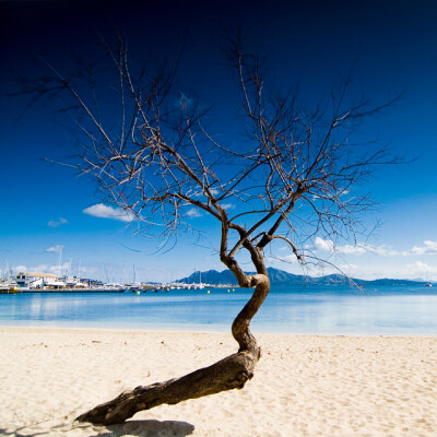 东临碣石，以观沧海美景