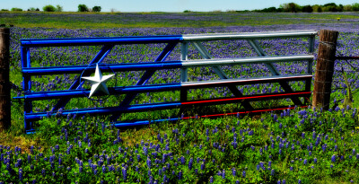 Photograph Texas in Spring by Jeff Clow on 500px