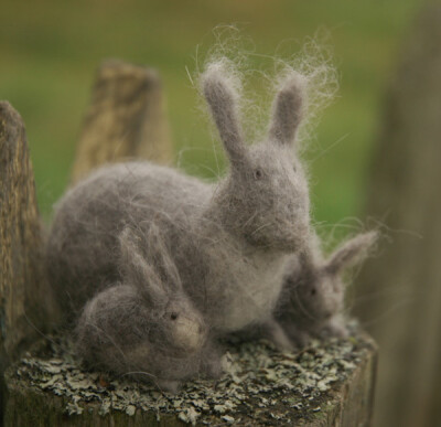 vriad_lee(Russia)的作品：rabbit family