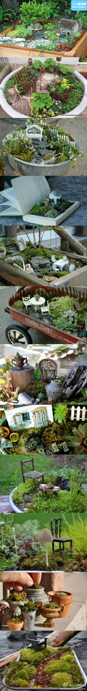 owl【植物神经】超可爱的小花园，大家也动手自己修建一个属于自己的小花园吧。