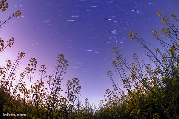 油菜花与星空。美死了~~