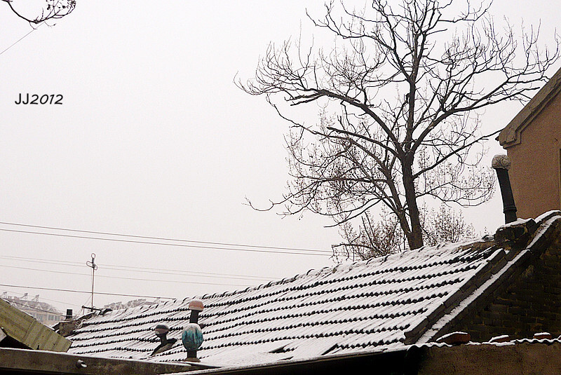 晓翁村2012年1月拍摄下雪