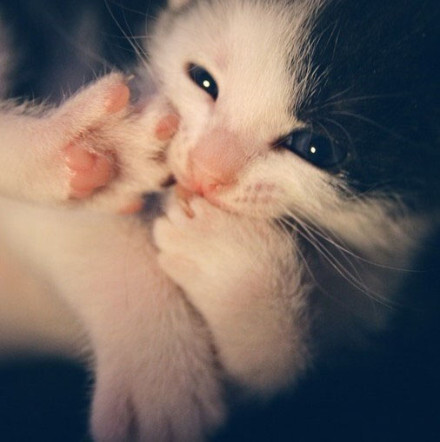 一个人只有一个心脏，却有两个心房。一个住着快乐；一个住着悲伤。不要笑得太大声，不然会吵醒旁边的悲伤。