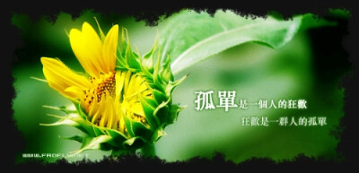 WWW.QQHJY.CN容忍的人其实并不笨，只是宁可对自己残忍，既然爱不能恒温，祝福就留给你下一个人。 逝去的一纸年华，刻成一道不再复返的青春。 在爱到了歇斯底里的时候，可以不要了，因为那份爱已支离破碎。
<br /…