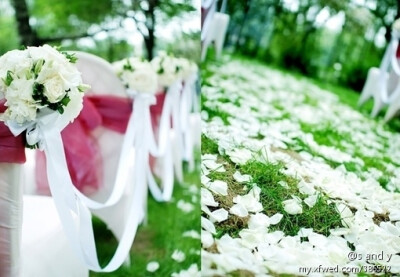 浪漫圣洁白色玫瑰花主题婚礼