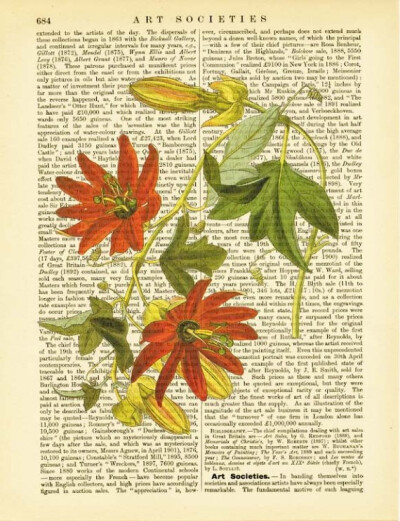 Passionflower Botanical 西番莲植物园