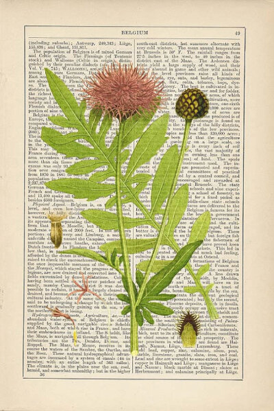 Antique Botanical