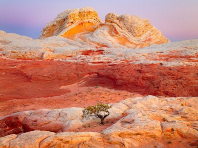 Arizona Butte by Rex Naden