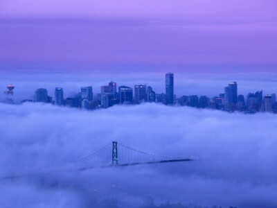 Lions Gate Bridge, Vancouver by Mathieu Dupuis