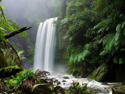 beautiful waterfall Photographs