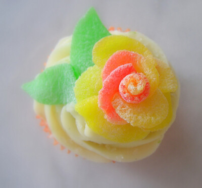 peach candy rose demo-2