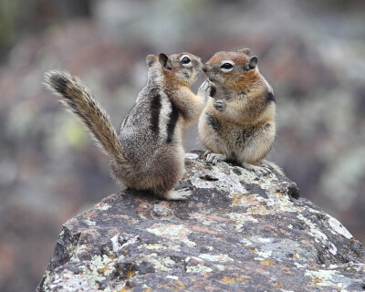 Photograph Touch by Doug Dance on 500px