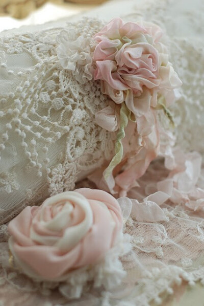 这玫瑰，美极啦！。晓冬知春