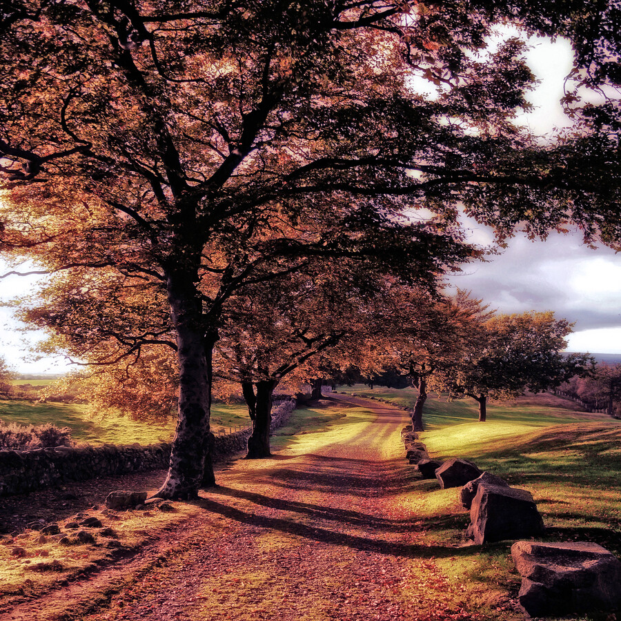 Photograph AUTUMN WALK by KENNETH BARKER on 500px