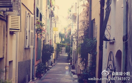 就这样，在时光的小路上，携手走过。