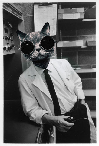 CAT SCIENTISTS OF THE 1960S